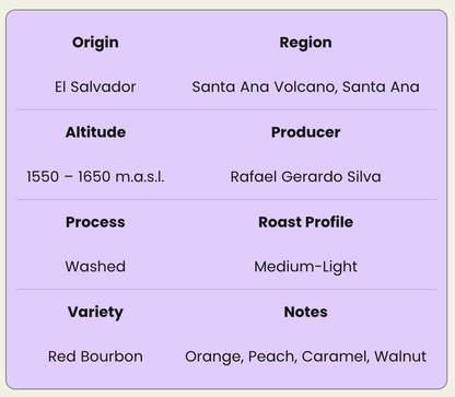 El Angel Red  Bourbon  Washed