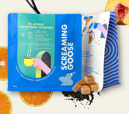 El Angel  Pacamara  Washed