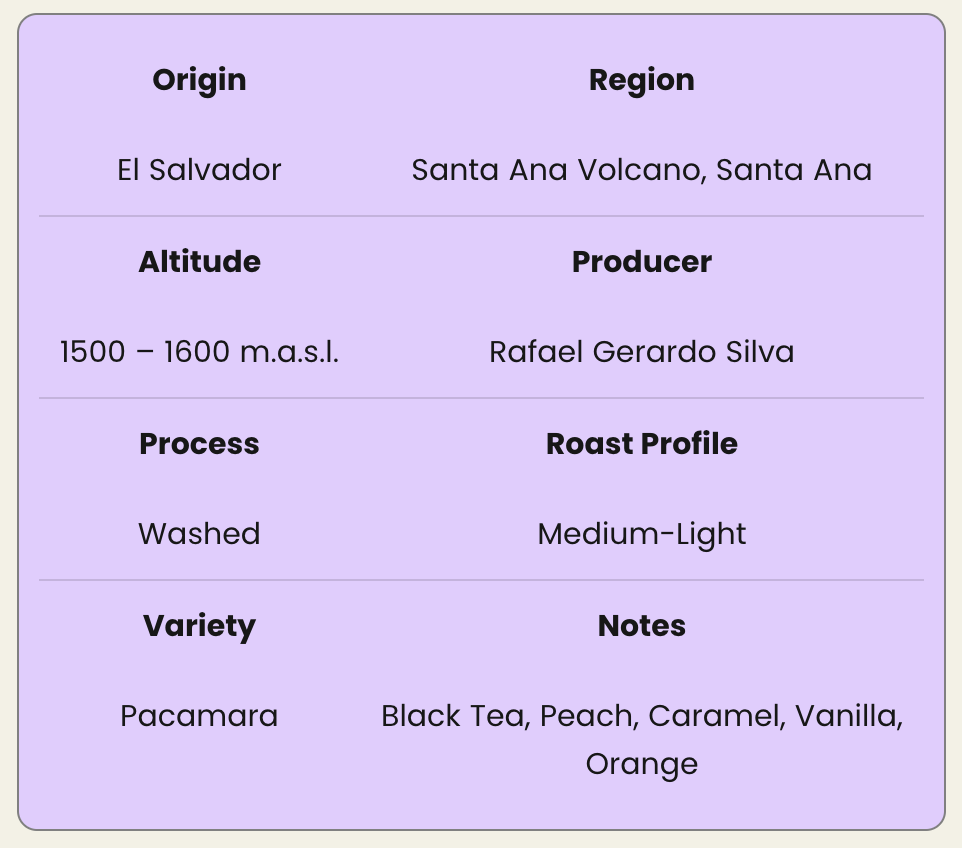 El Angel  Pacamara  Washed