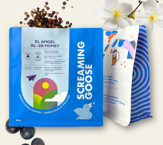 El Angel  SL-28 Honey