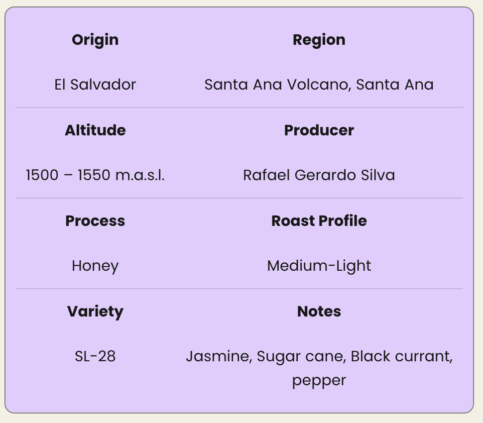 El Angel  SL-28 Honey