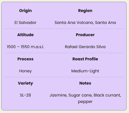 El Angel  SL-28 Honey